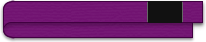 belt_purple