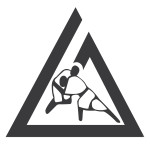 logo_gracieTriangle